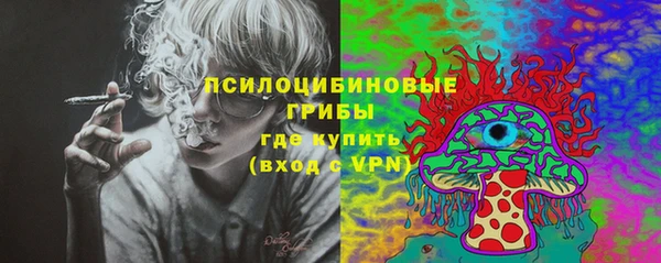 jwh Богородицк