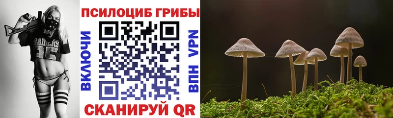 купить наркотики сайты  Кинешма  Псилоцибиновые грибы Cubensis 